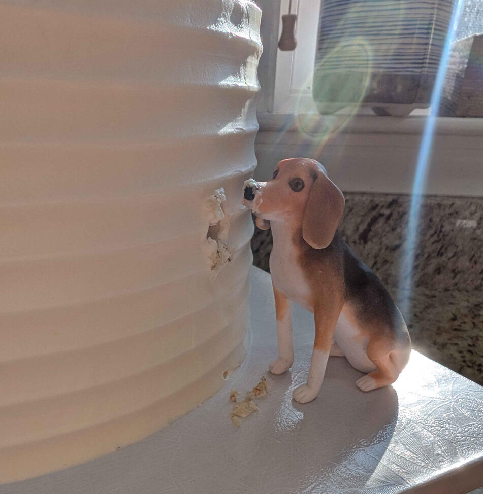 Vanilla Wedding Cake (pt2) Vanilla Wedding Cake (pt2)